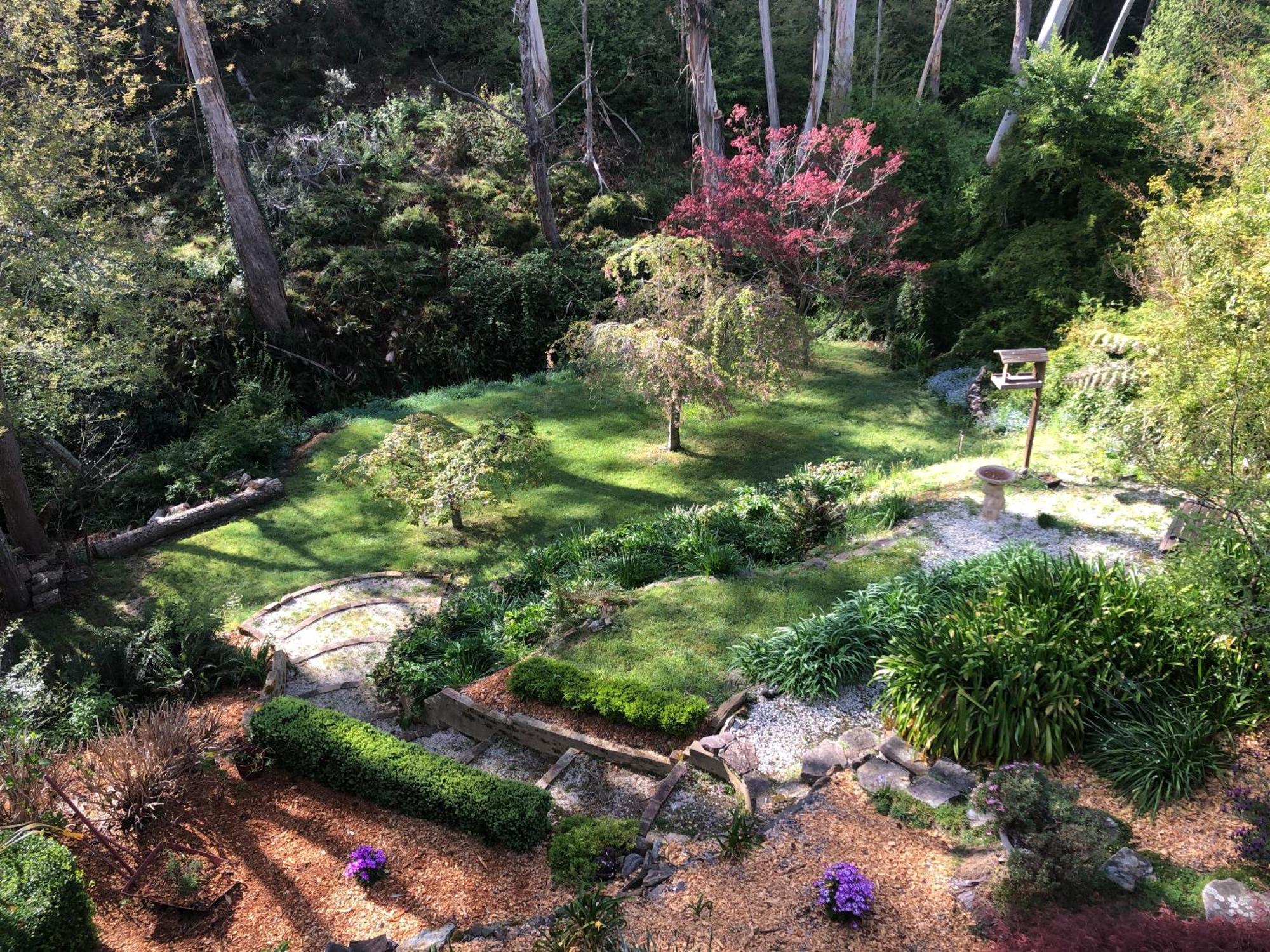 Bluebell Cottage Leura Exterior photo