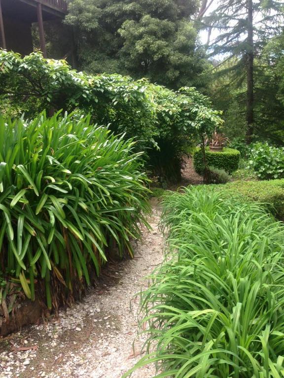 Bluebell Cottage Leura Exterior photo